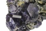 Purple Cube-Dodecahedron Fluorite on Sparkling Quartz - China #226155-2